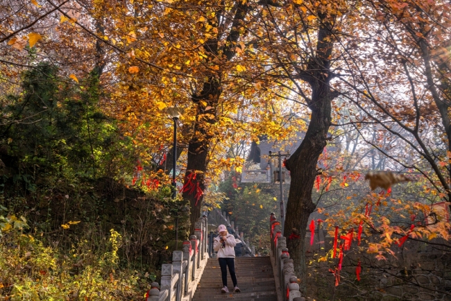 “瞰見(jiàn)秦嶺 詩(shī)畫(huà)終南”媒體景區(qū)行活動(dòng) 邂逅南五臺(tái)秋韻